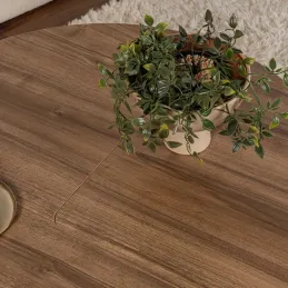 Table basse en aggloméré Moira