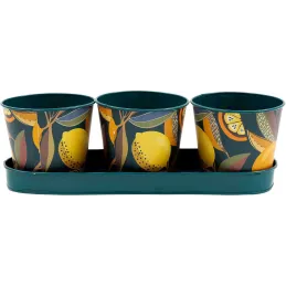 Set de 3 cache-pots en métal Citrus