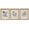 Cadre décorarif Safari 20 x 25 cm (Lot de 3)