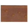 Paillasson en fibres de coco 60 x 40 cm Paw (Lot de 2)
