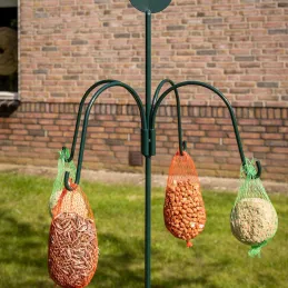 Station d'alimentation pour oiseaux à planter