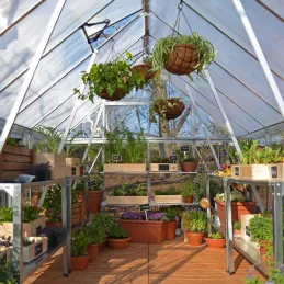Serre de jardin en aluminium argent et polycarbonate Balance