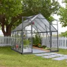 Serre de jardin en aluminium gris et polycarbonate Balance