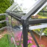 Serre de jardin en aluminium gris et polycarbonate Harmony