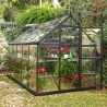 Serre de jardin en aluminium gris et polycarbonate Harmony