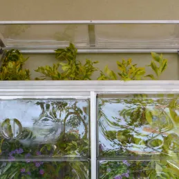 Serre de jardin en aluminium et polycarbonate adossée Lean To