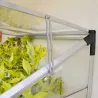Serre de jardin en aluminium et polycarbonate adossée Lean To