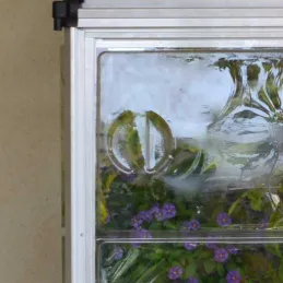 Serre de jardin en aluminium et polycarbonate adossée Lean To