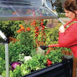 Mini-serre de jardin en aluminium et polycarbonate Plant-Inn
