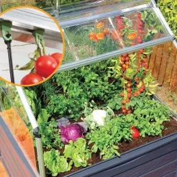 Mini-serre de jardin en aluminium et polycarbonate Plant-Inn