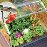 Mini-serre de jardin en aluminium et polycarbonate Plant-Inn