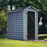 Abri de jardin en aluminium et polycarbonate gris et noir Skylight
