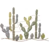 Cadre en métal Cactus 90 x 2.5 x 64 cm