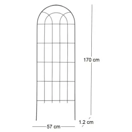 Treillis support pour plantes en acier noir