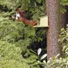Mangeoire ecureuil en bois et zinc