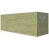Abri de jardin traité 300 x 210 cm Qube