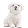 Chiot en résine Bichon frisé 13x10x15 cm