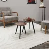 Table gigogne ronde en acacia (Lot de 2)