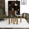 Table gigogne ronde en verre trempé Clara (Lot de 2)