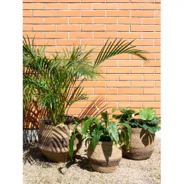 Cache-pots en jonc naturel et brun