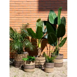 Cache-pots en jonc naturel et brun
