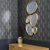 Set de 5 miroirs forme organique