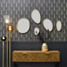 Set de 5 miroirs forme organique