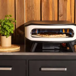 Four à pizza au gaz rotatif avec thermomètre intégré et porte