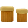 Pouf avec rangement intégré Aspen (Set de 2)