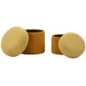 Pouf avec rangement intégré Aspen (Set de 2)
