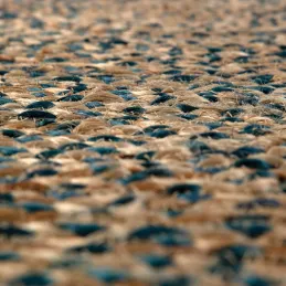 Tapis rond en jute et coton Elliot 160 cm