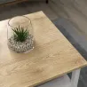 Table basse en aggloméré Frannie