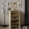 Meuble à chaussures 2 portes en aggloméré Venedik