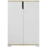Meuble à chaussures 2 portes en aggloméré Venedik