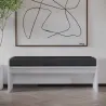 Banc en aggloméré avec coussin Pearl