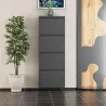 Meuble à chaussures 4 portes en métal