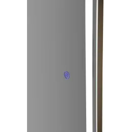 Miroir murale ovale avec bandeau led 3 couleurs 50 x 160 cm