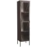 Vitrine 1 porte en métal