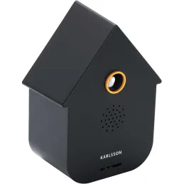 Boîte à son Modern Cuckoo
