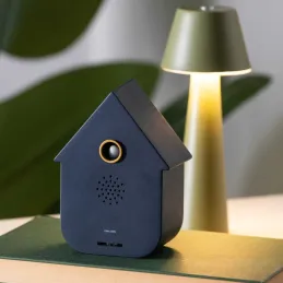Boîte à son Modern Cuckoo