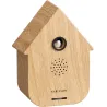 Boîte à son Modern Cuckoo
