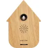 Boîte à son Modern Cuckoo