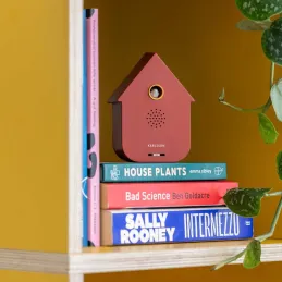 Boîte à son Modern Cuckoo