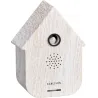 Boîte à son Modern Cuckoo