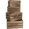 Caisse en bois de pin (Lot de 4)