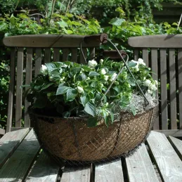 Panier fil de fer brun antique (Lot de 3)