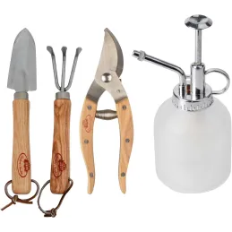 Set d'outils pour plantes d'appartement en acier inoxydable