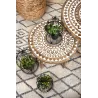 Cages en métal laqué et bois (Lot de 3)