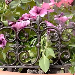 Bordure de jardin en fonte Valentine