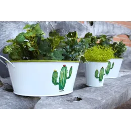 Corbeille ronde en métal laqué Cactus